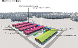 3D моделирование и создание визуализации проекта птицефермы