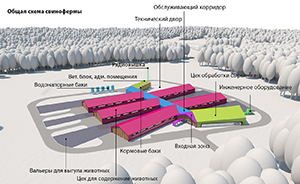 3d визуализация проекта свинофермы