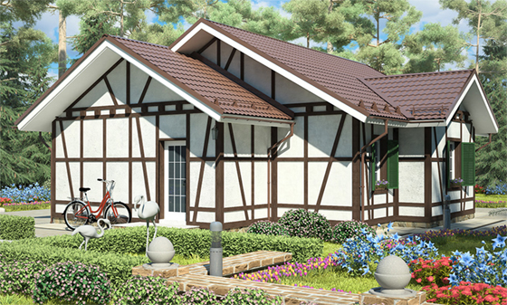 Для проекта "Дома России"