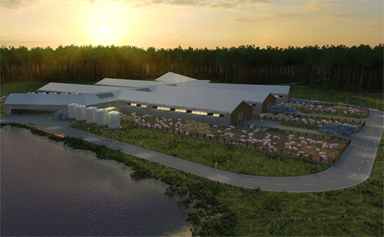 Свиноферма